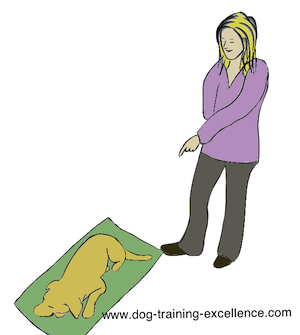 dog training hand signal go to your mat by DTE