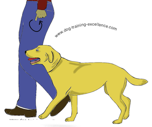Dog Training Hand Signals - A picture instructional guide