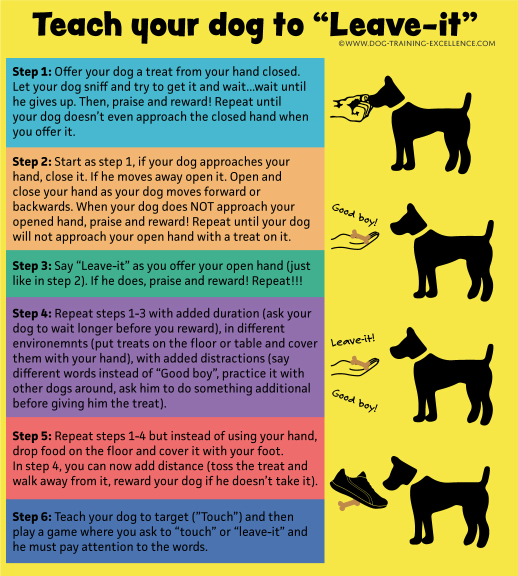 Training your dog to leave-it, leave it command, dog training infographic