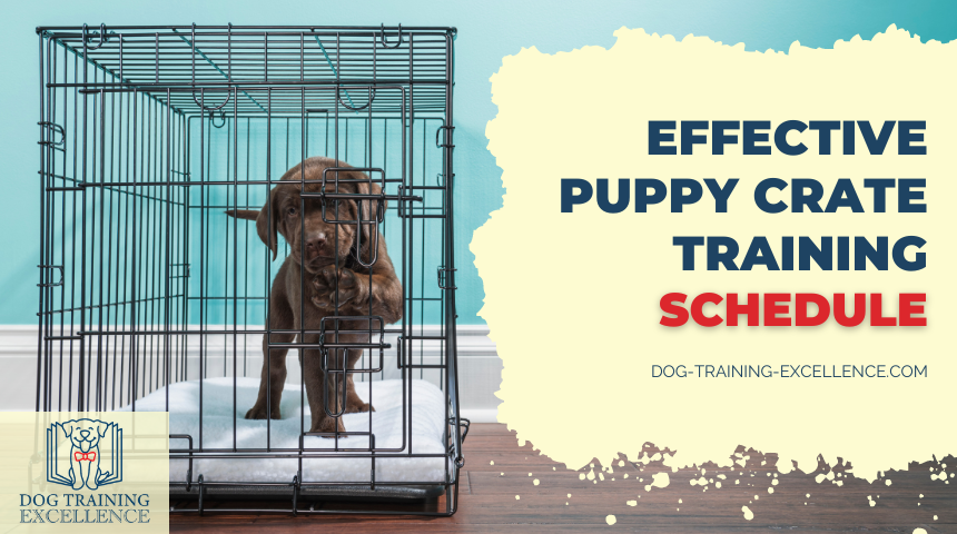 puppy crate training schedule, dog crate training