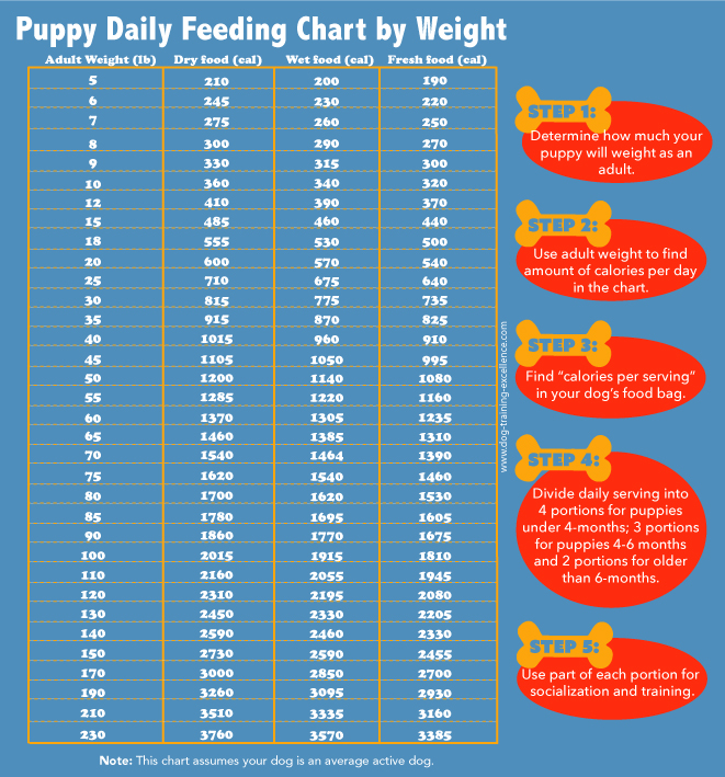 How Much Food Should I Feed My Puppy Chart