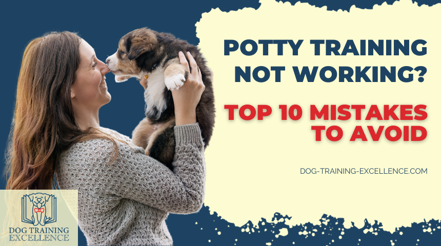 puppy potty training not working, puppy potty training mistakes