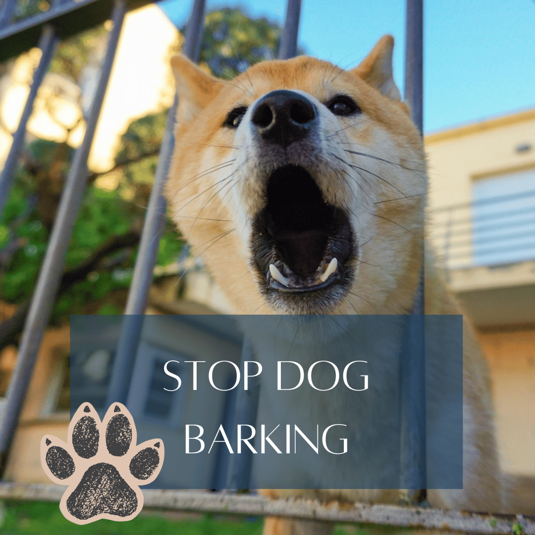 stop barking home page title
