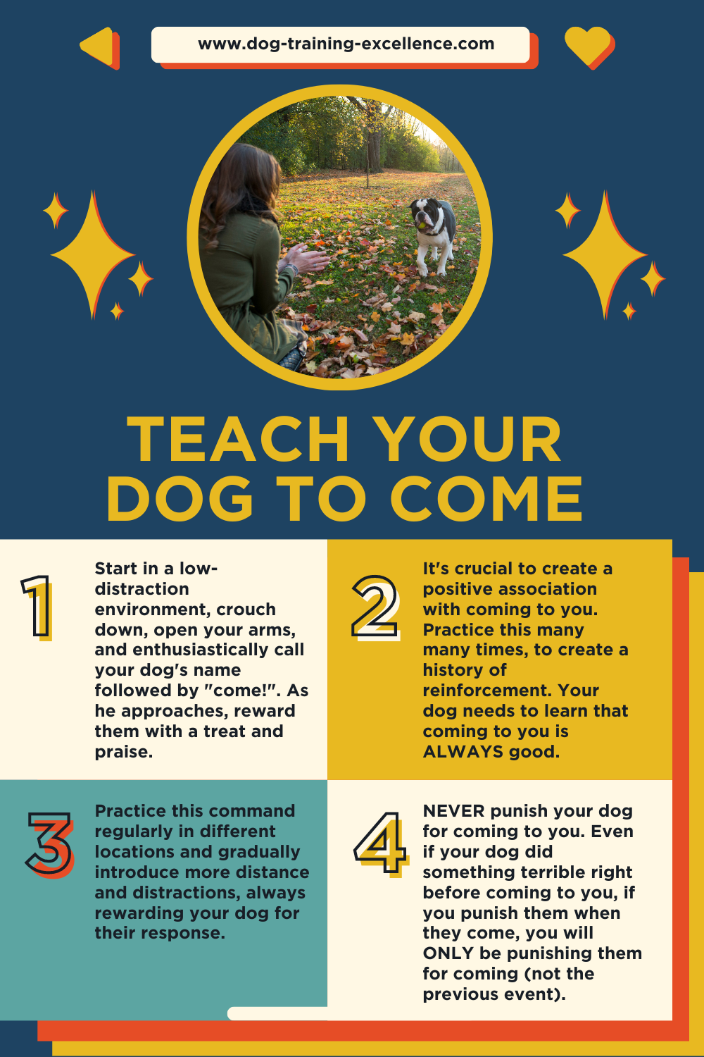 Teach your dog to come, dog training come, dog obedience come, how to teach my dog to come, dog recall training