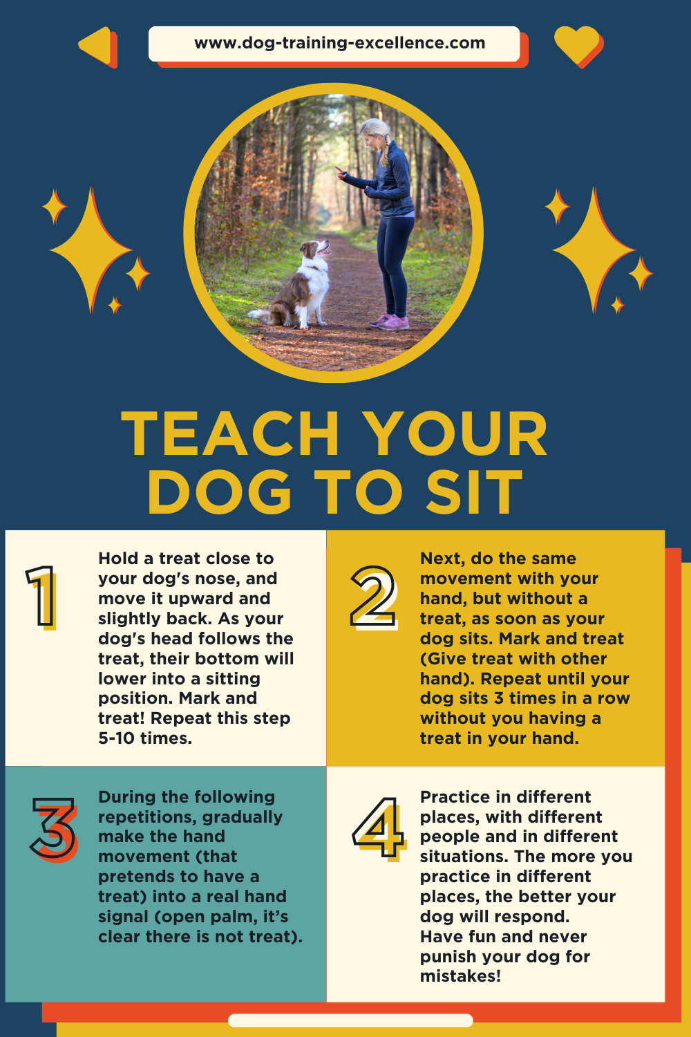 Teach your dog to sit, dog training sit, dog obedience sit, how to teach my dog to sit