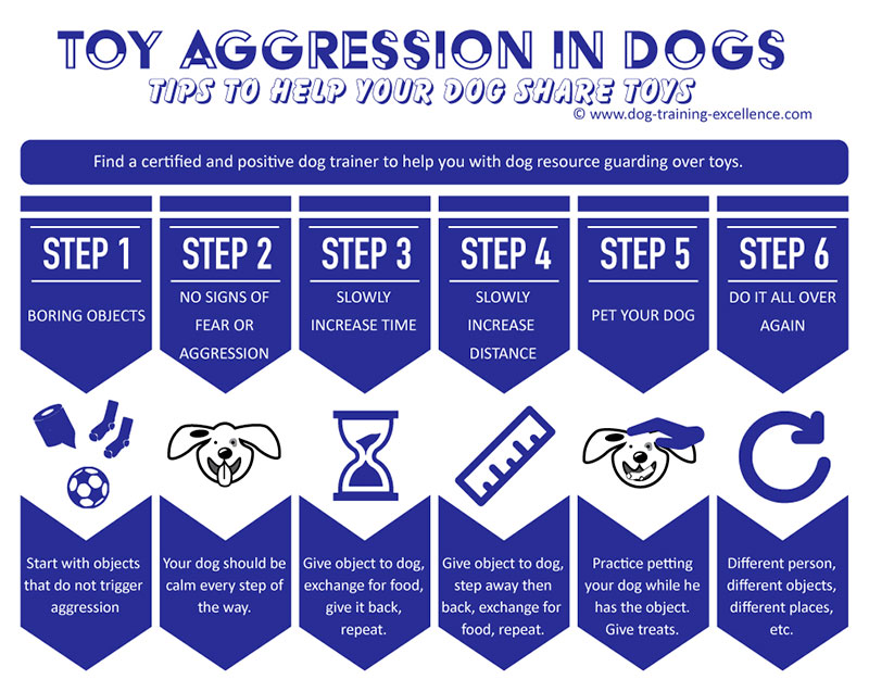 dog aggression over toys