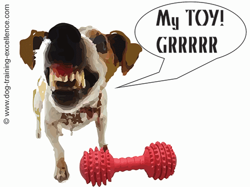 ball aggression in dogs