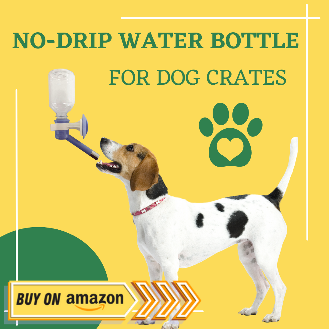 no-drip water bottle for dog crate