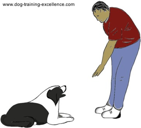 dog training hand signal for down by DTE