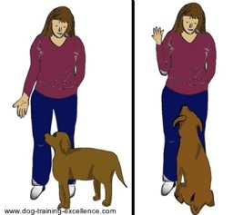 dog training hand signal for sit by DTE