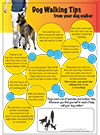 Dog walking flyer template