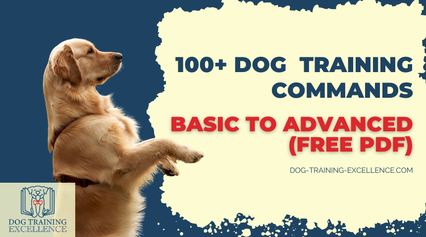 100 dog training commands, Advanced dog training commands
