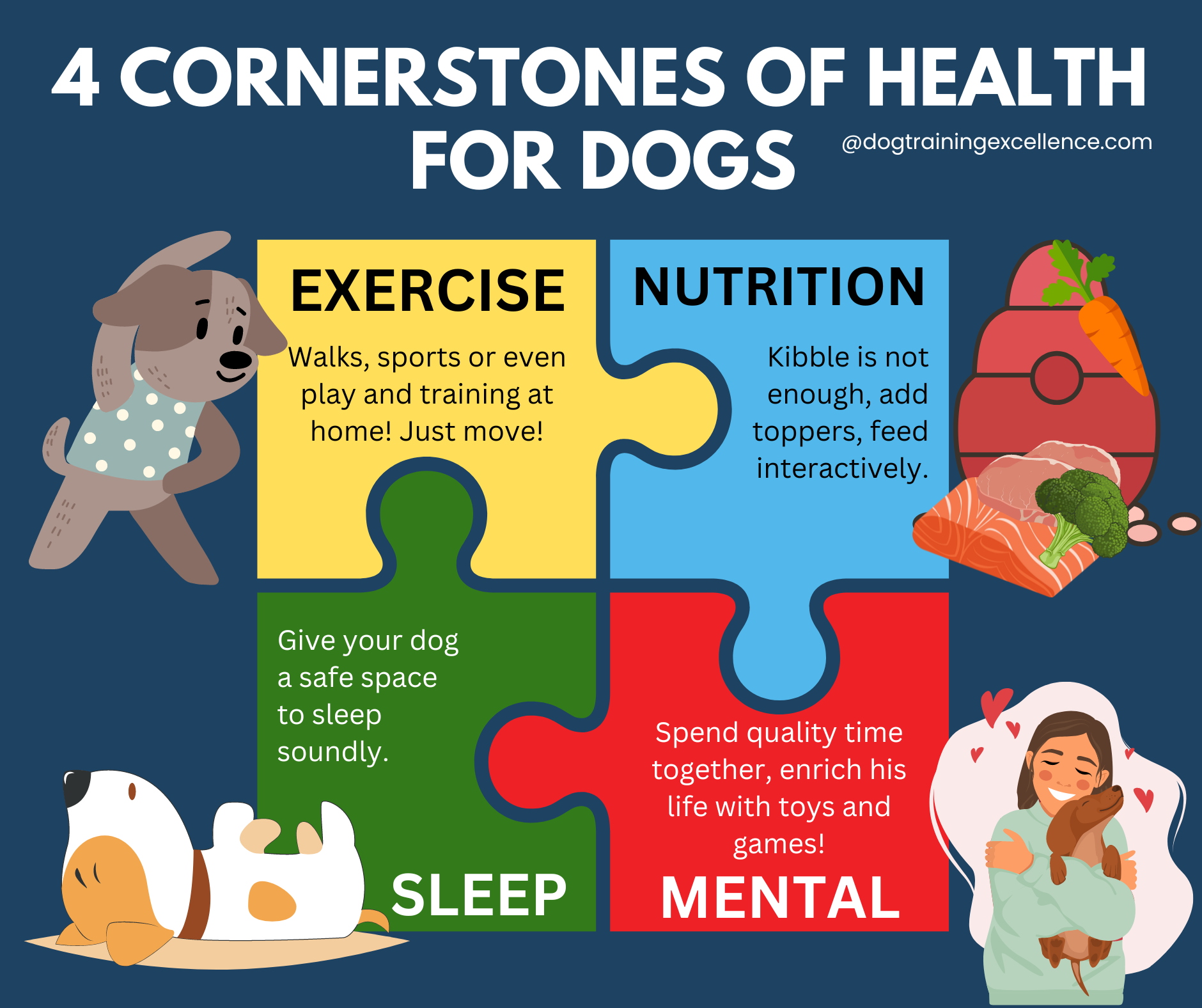 4 cornerstones of health in dogs