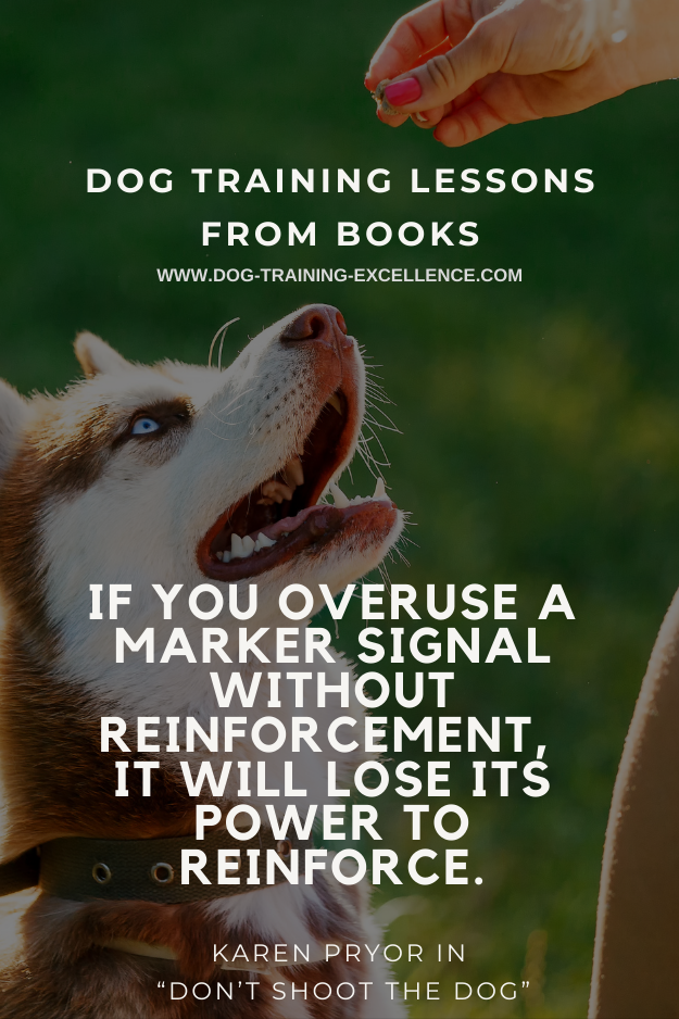 Dog quotes, dog training tips, best dog books