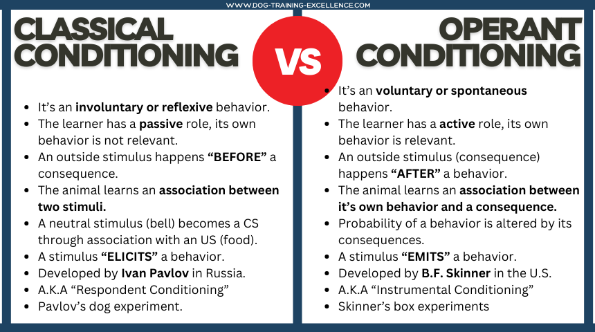Classical Conditioning vs operant conditioning, dog training
