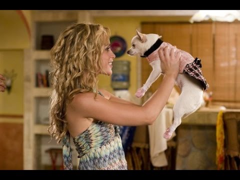 dog names