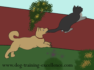 cartoon cat and dog by Dog Training Excellence