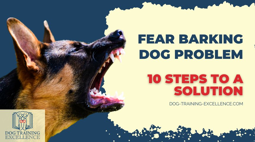 How do you solve a fear barking dog problem? Help your dog and stop barking with a detailed program you can follow...