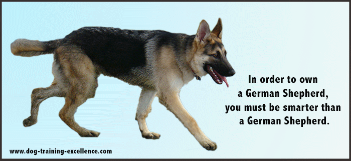 German Shepherd dog quotes