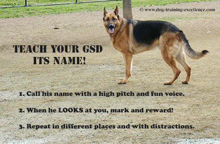 teach german shepherd its name