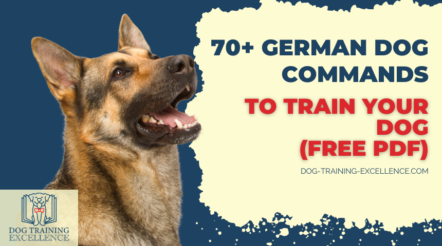 List of German dog commands to train your dog! Free PDF download and instructions...