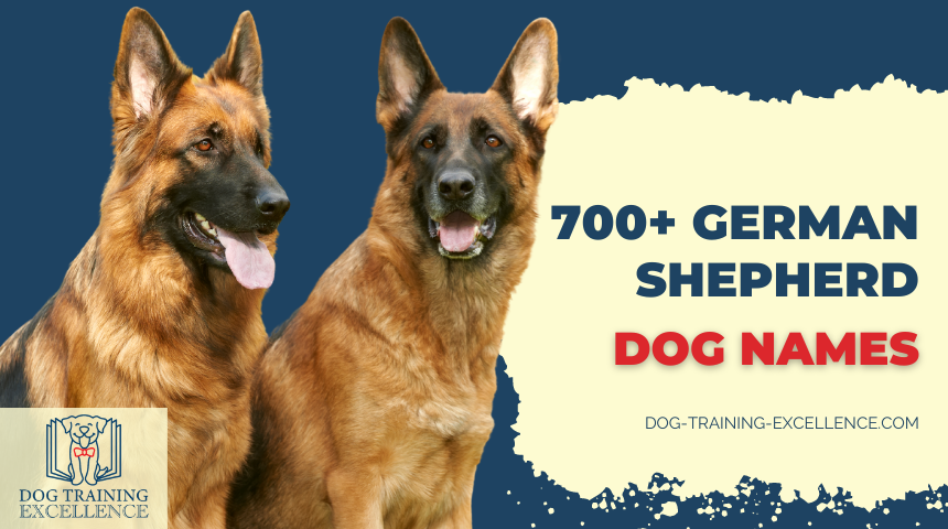 German Shepherd names, names for my german shepherd dog