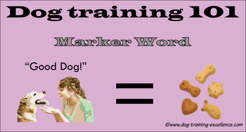 dog marker word