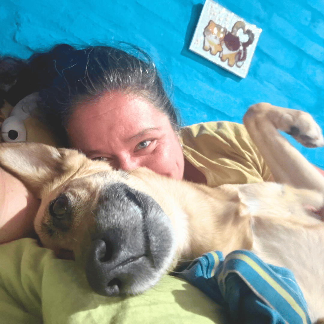 Teaching dog training commands, dog cues, dog obedience Teaching dog training commands, dog cues, dog obedience