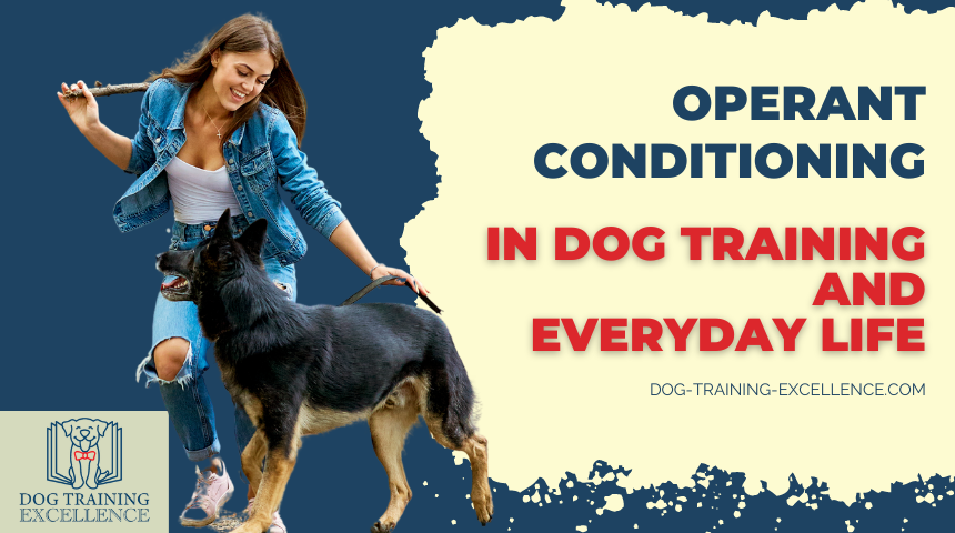 Operant conditioning in dog training and everyday life Title