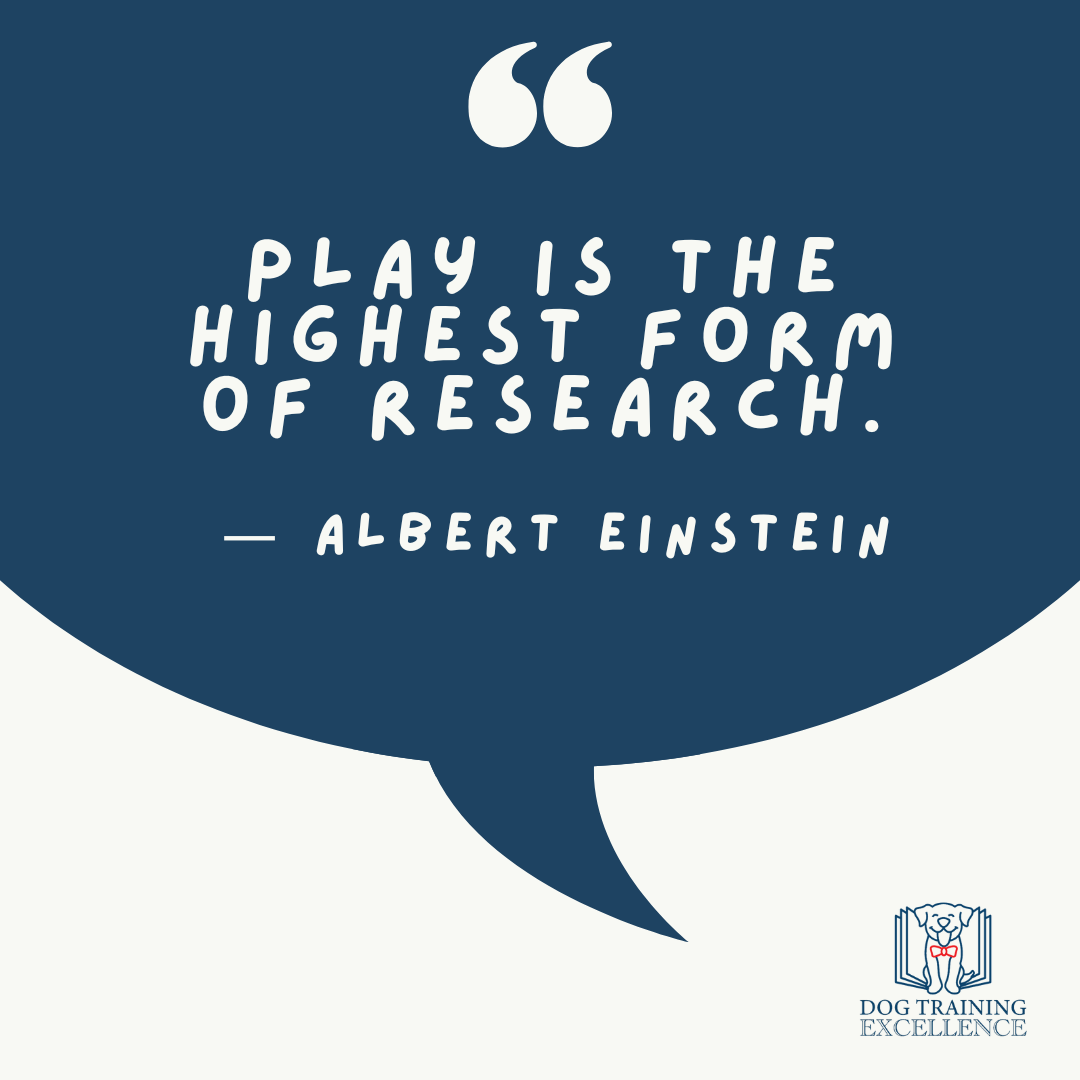 Bubble quote einstein play research