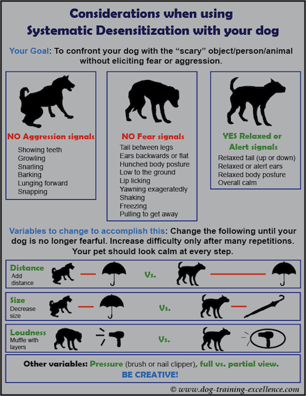 systematic desensitization with your dog