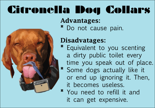 Citronella dog collar advantages and disadvantages