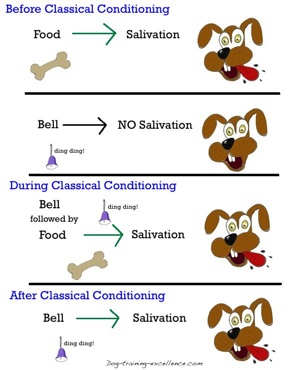 Dog training and classical conditionin