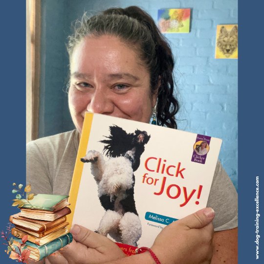 Click for joy book review