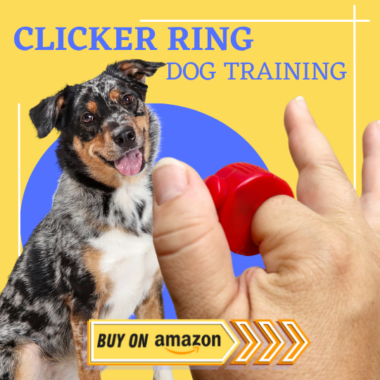 clicker ring amazon review