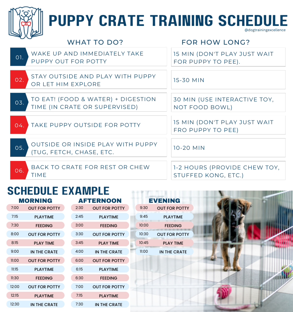 Puppy crate training schedule