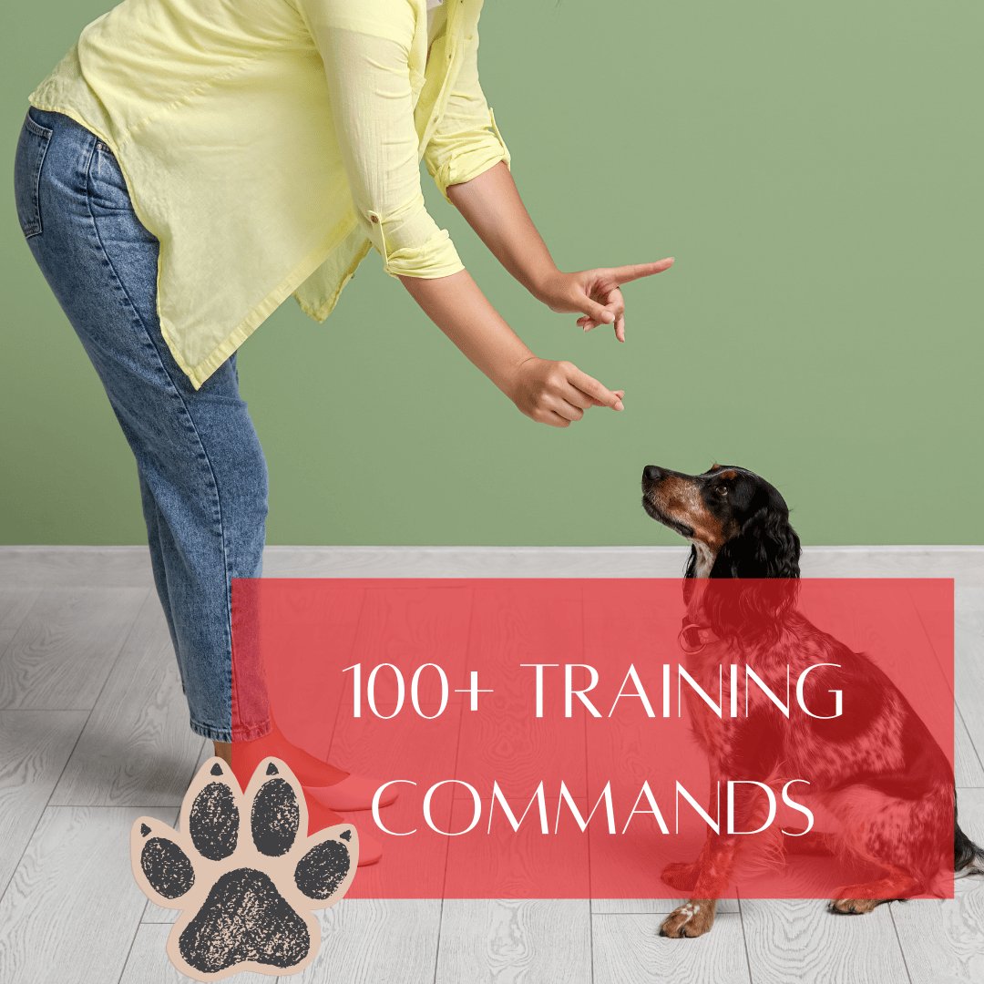dog commands title home page