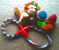 Dog Toys by Dog Training Excellence