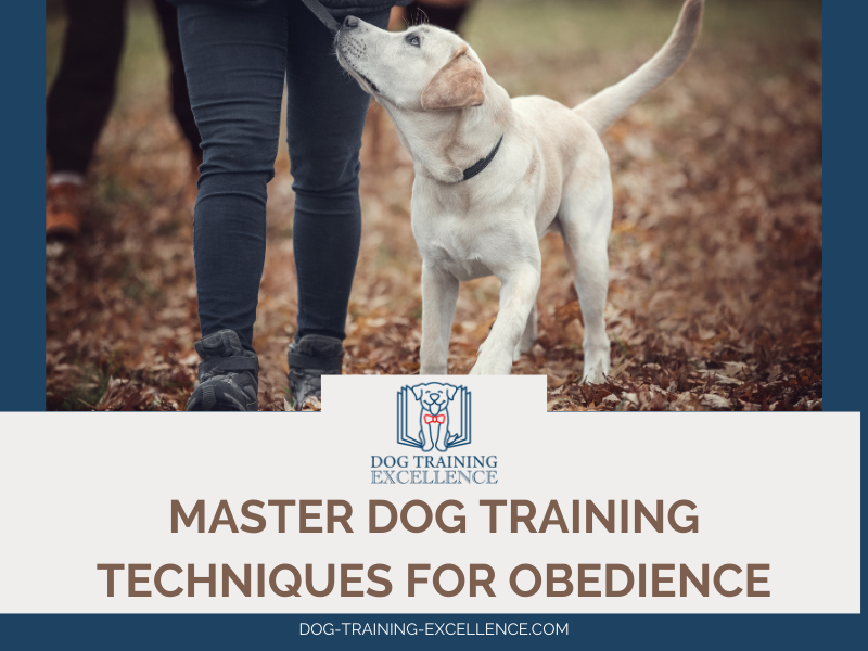 dog training techniques for obedience