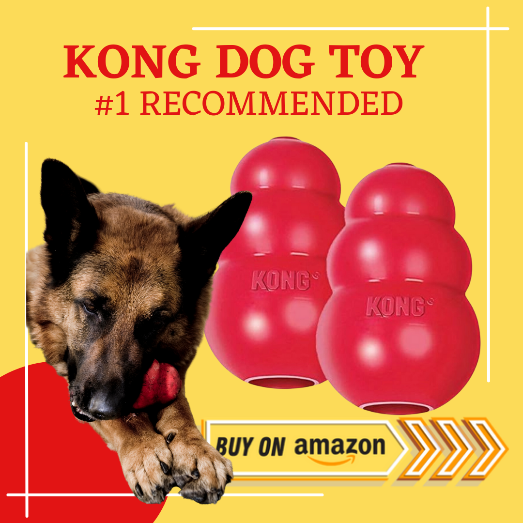 Kong toy for German Shepherd Dogs review
