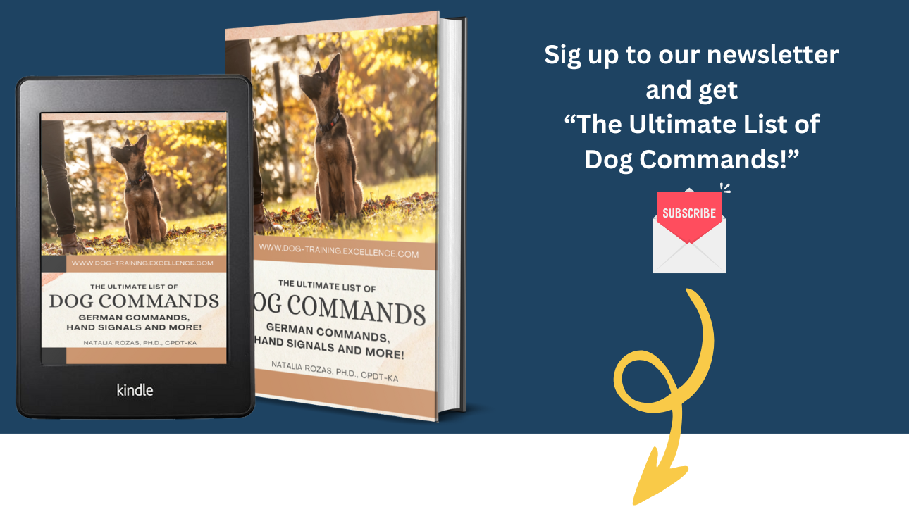 Sign up newsletter List PDF  Dog Commands THIS THIS
