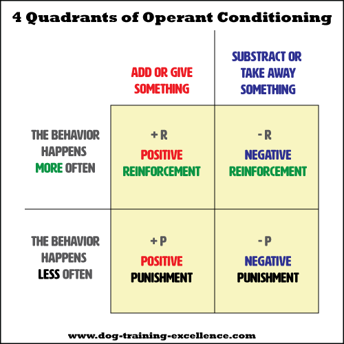 Positive And Negative Reinforcement Chart