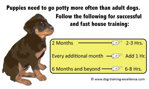 Dog Potty Training Chart