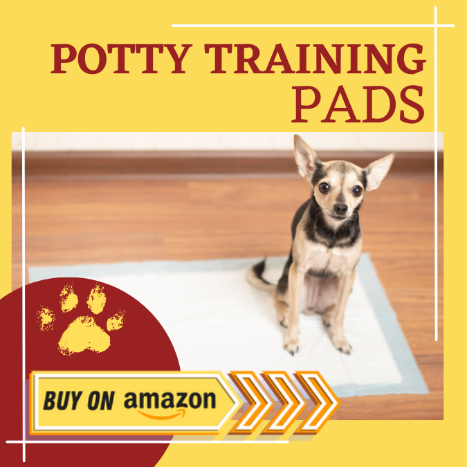 potty training pads buy on amazon