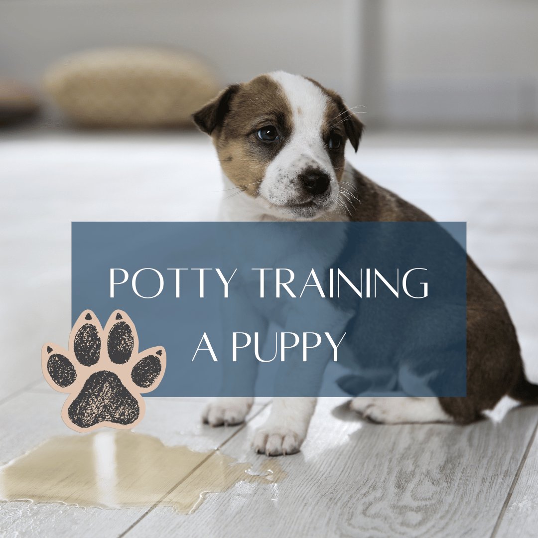 potty training home page title