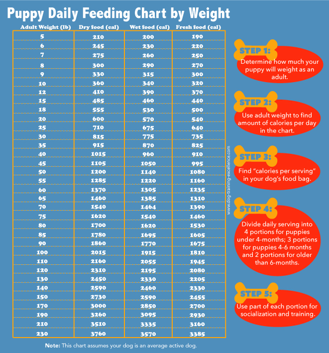 Puppy Food Amount Chart Puppy And Pets