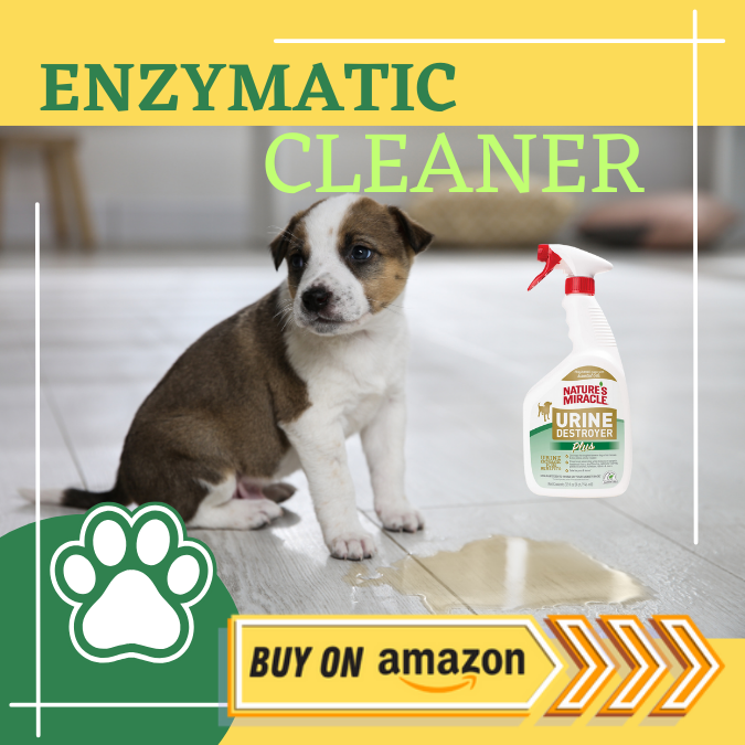 enzymatic cleaner buy amazon nature's miracle