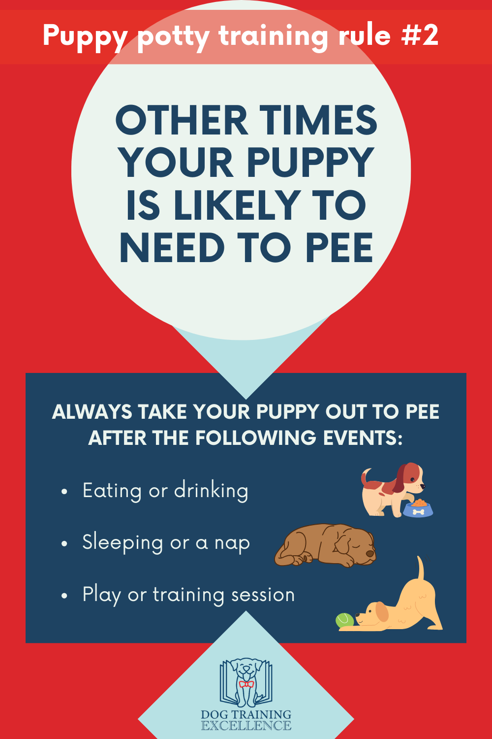 puppy potty training rule 2 for pinterest