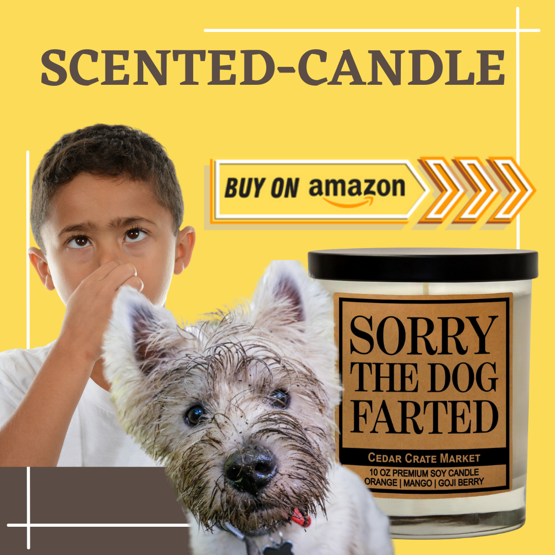 scented candle sorry dog farted review