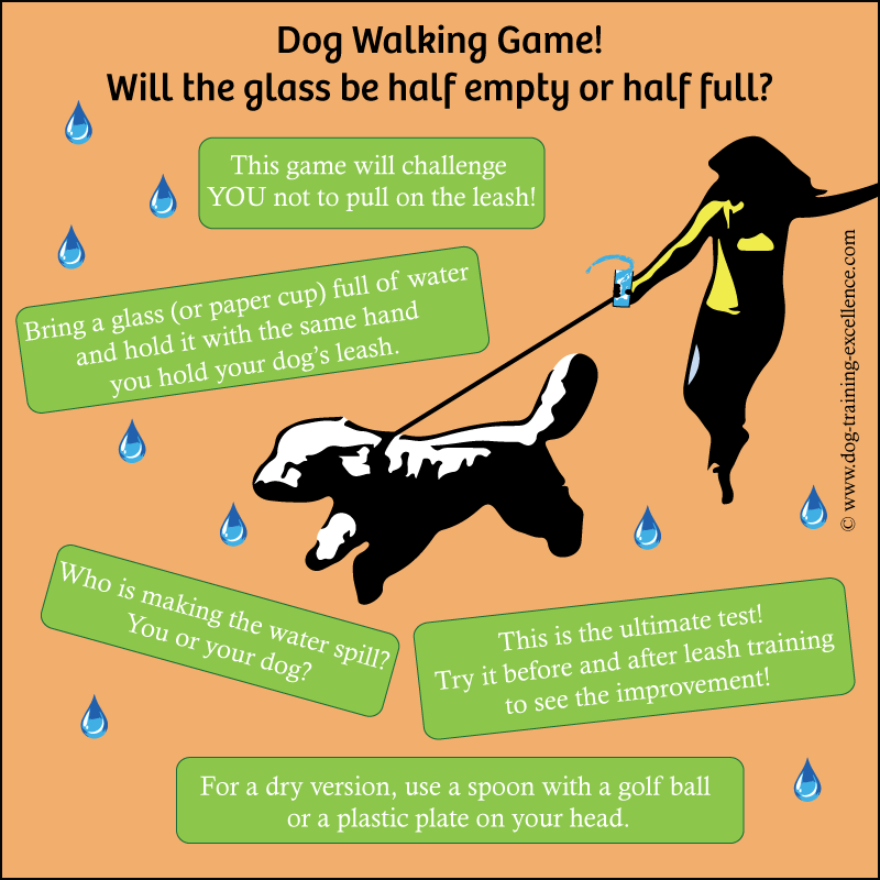 dog walking games, leash training your dog